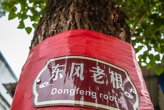 彩神lx老根